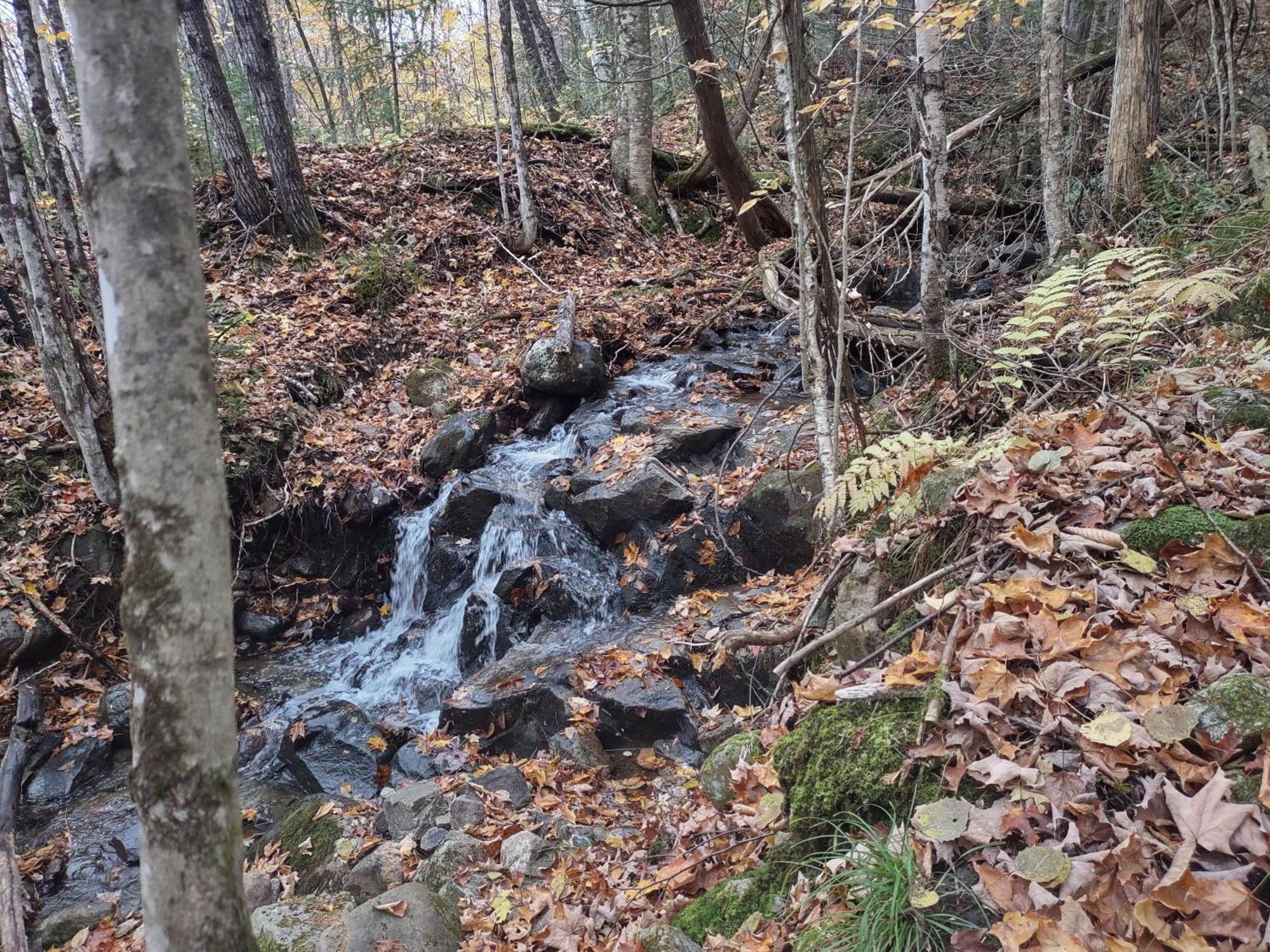 Hebergement De La Montagne St-Roch Saint Roch de Mekinac Kültér fotó